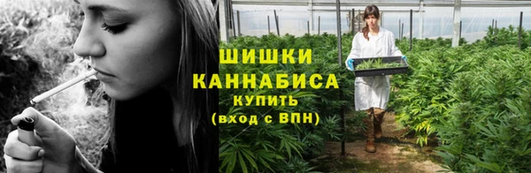 ешки Иннополис