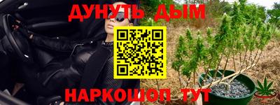 эйфоретик Гусев