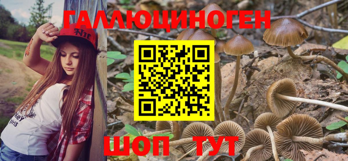 Псилоцибиновые грибы прущие грибы Назрань