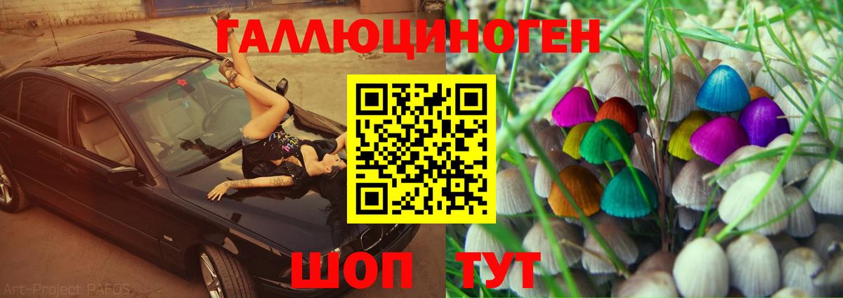 Назрань  Галлюциногенные грибы Cubensis  Галлюциногенные грибы MAGIC MUSHROOMS  Вход с VPN 