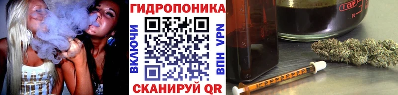 кракен рабочий сайт  Назрань  Конопля тримм 
